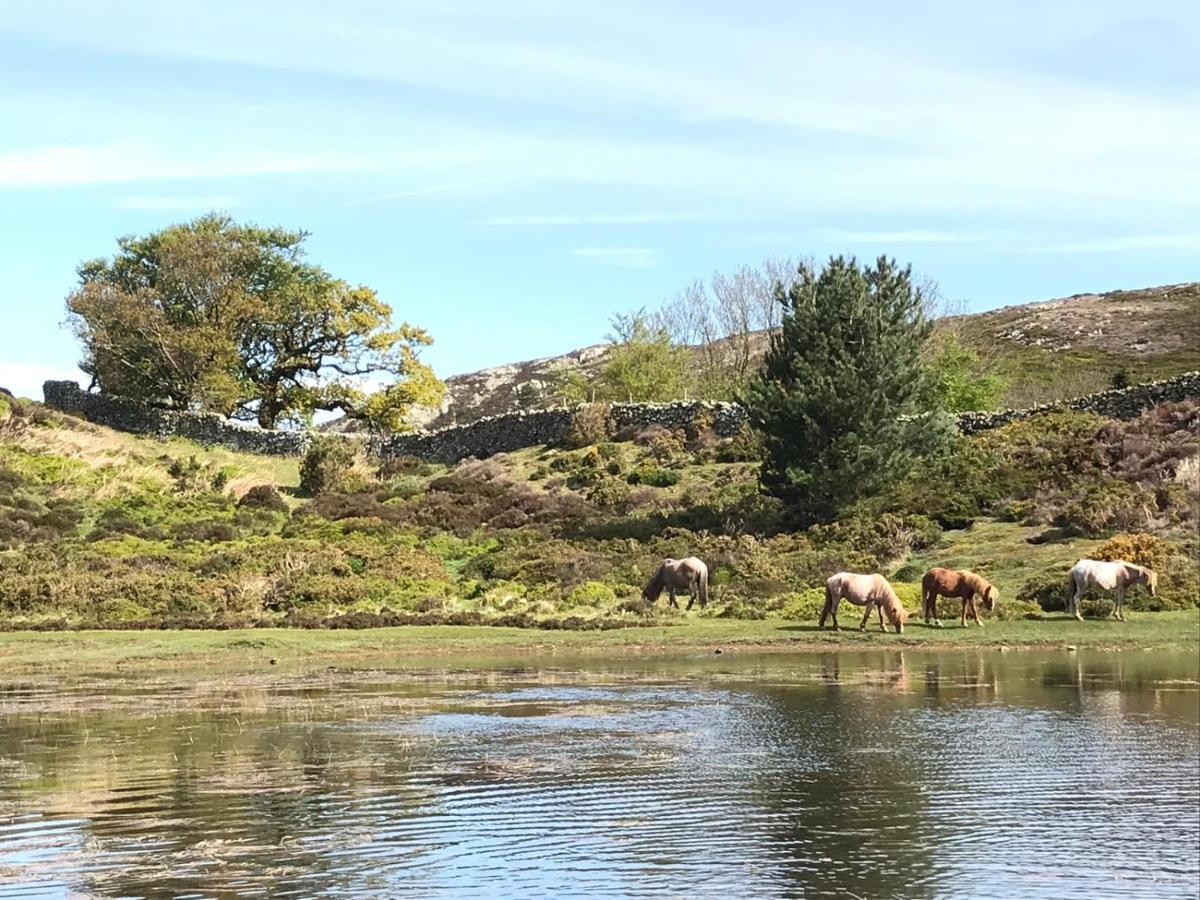River Cottage Conwy Zewnętrze zdjęcie